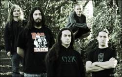 interview Pitbulls In The Nursery